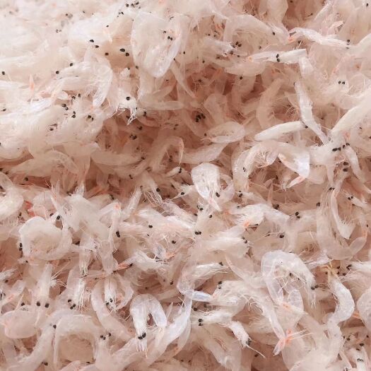 滨州虾皮 山东正宗淡干无盐500g干货宝宝特产