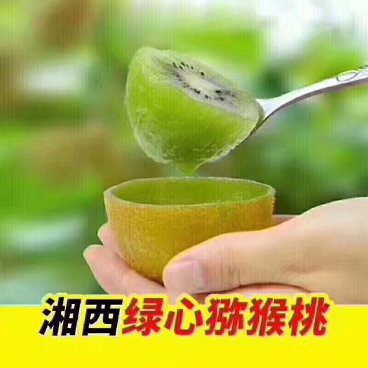永顺县 湘西高山绿心猕猴桃，需要的老板欢迎来电