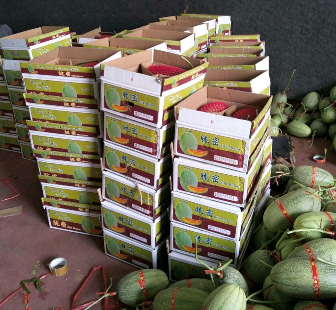 西州蜜25号 3斤以上