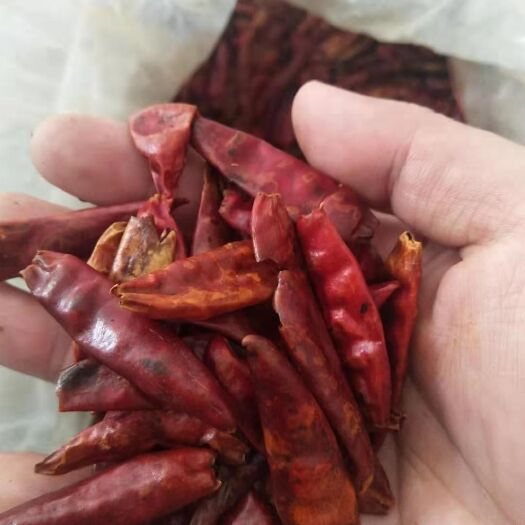 什邡市 炒椒油炒辣椒脆辣椒干辣椒可舂辣椒面香脆辣椒