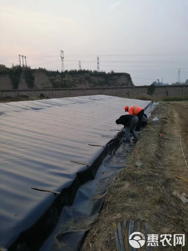 防渗膜 出售防水防渗土工膜 虾池专用防渗土工膜 防水板