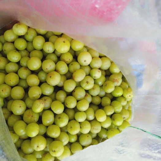 平南县干余甘果 袋装 1个月