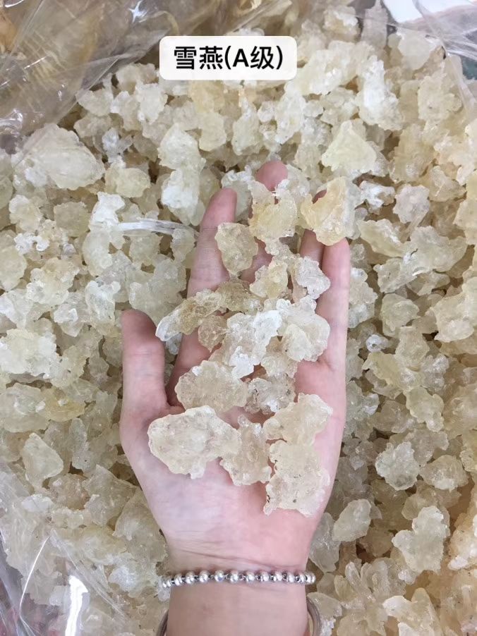 雪燕 散装 24个月以上