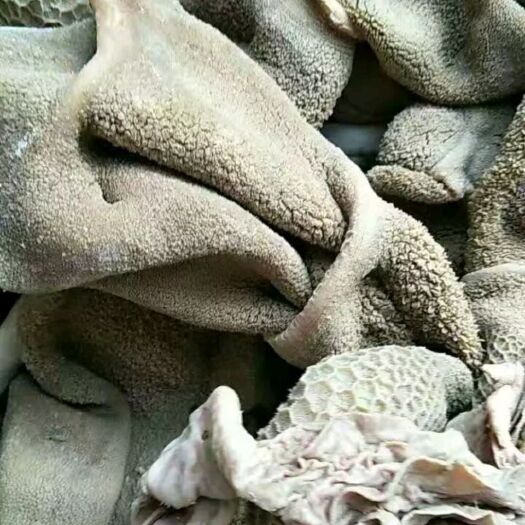 滨州羊杂