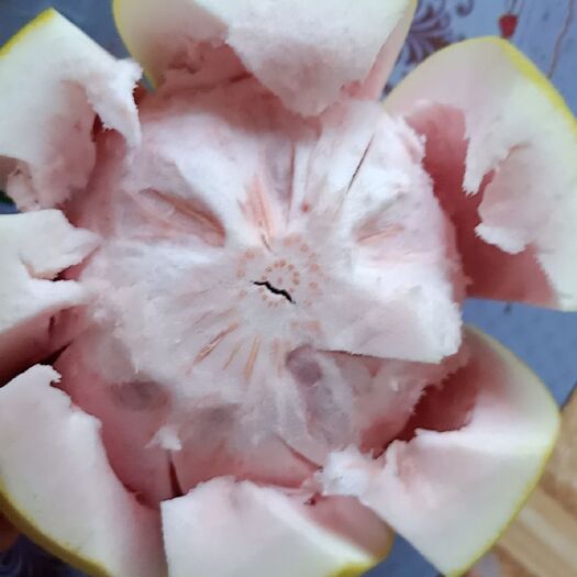 来宾三红蜜柚 口感好
