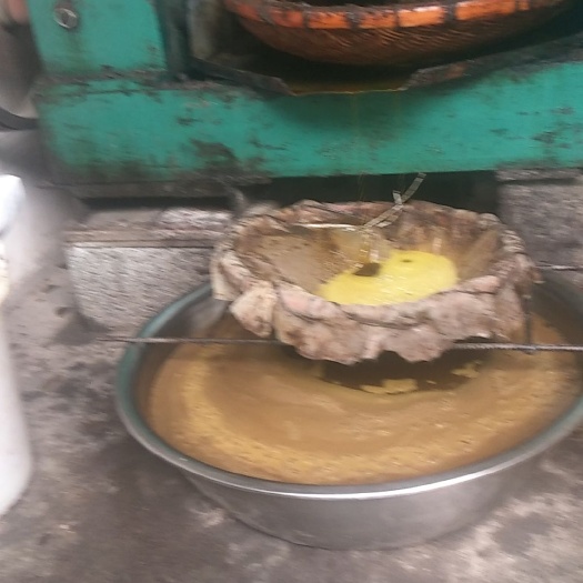 隆林县压榨菜籽油 我们家的菜子油是自己种的自己加工的，不加任何添加剂的