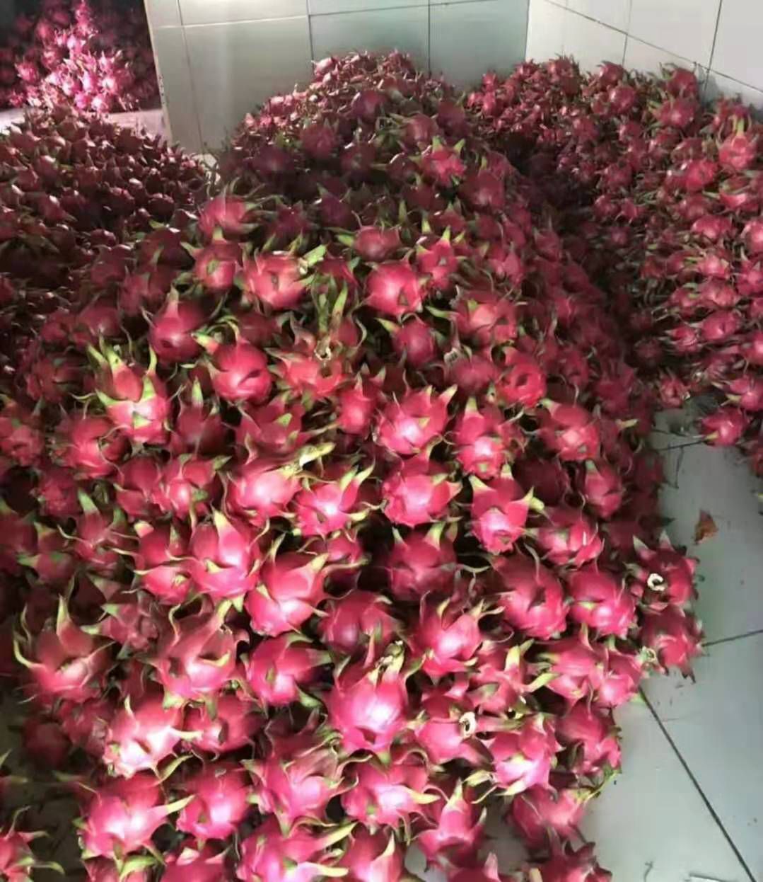 越南红心火龙果 特大（1斤以上）