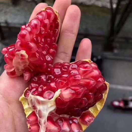 大荔县 软籽甜石榴皮薄，色鲜，粒大，汁多，籽软，味甜，籽粒透明