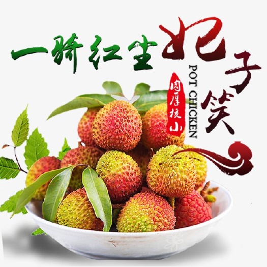 灵山县 妃子笑.桂味.三月红.荔枝苗