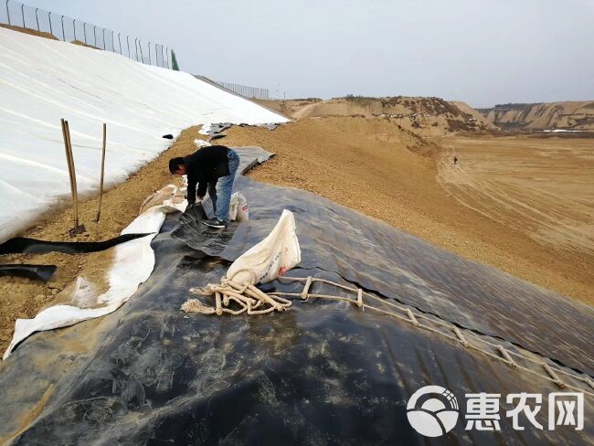 防渗膜 出售防水防渗土工膜 虾池专用防渗土工膜 防水板