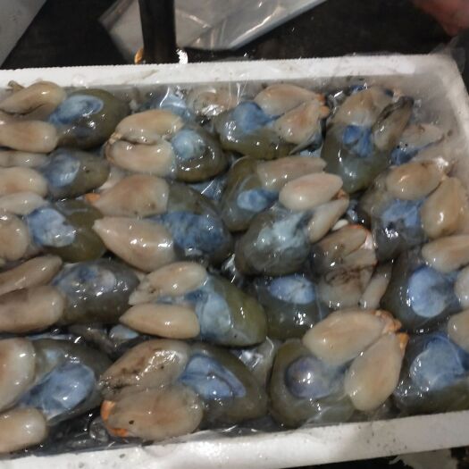 温岭市墨鱼胶 墨鱼双墨鱼膏等等味道鲜美