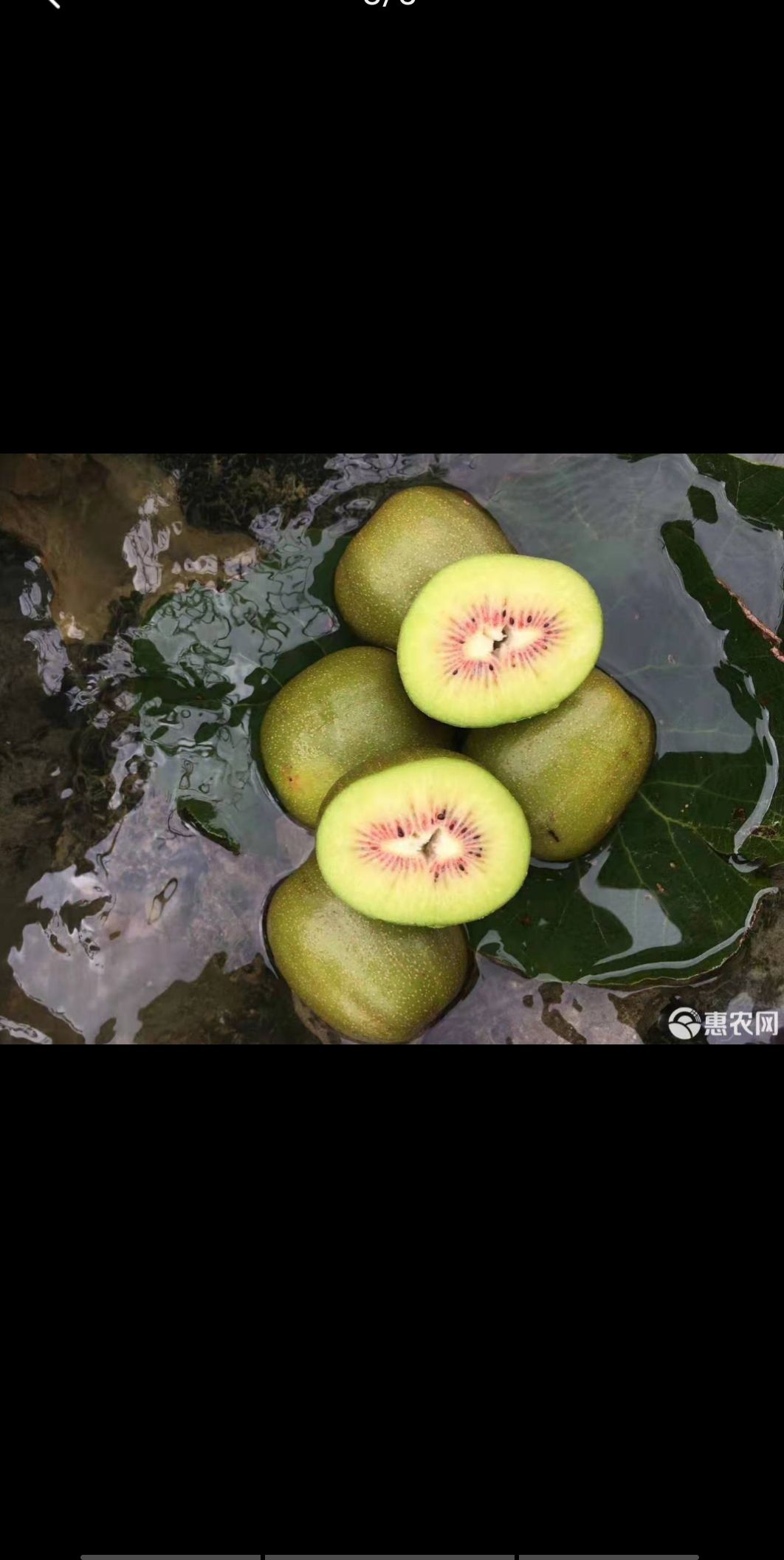 红阳猕猴桃 红阳局部开始上市，现货