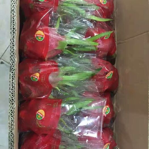 东兴市越南红心火龙果 中（5-7两）
