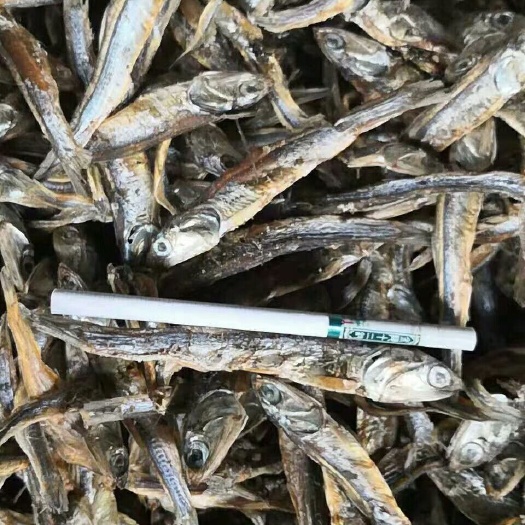 海兴县水产养殖饲料 供应饲料级海鱼鱼干，猪鸡，蛋鸭螃蟹龙虾饲料原料