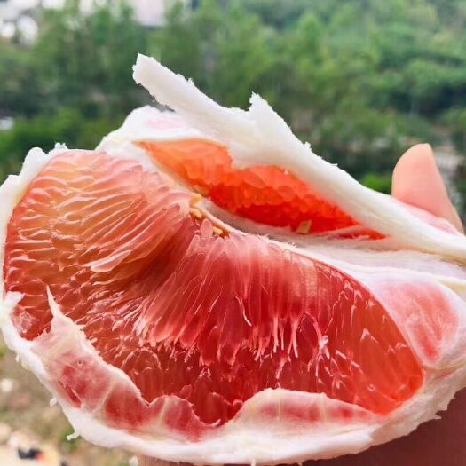 平和县 福建漳州琯溪蜜柚三红柚柚子