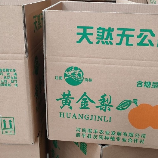 西平县黄金梨 无公害的绿色食品