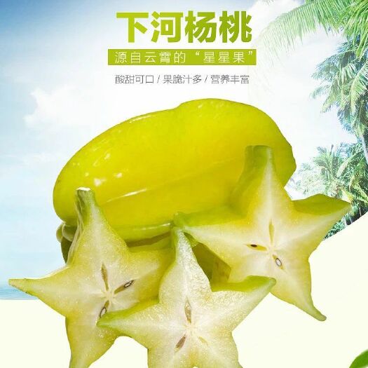 云霄县下河杨桃 4.5斤新鲜采摘产地直发