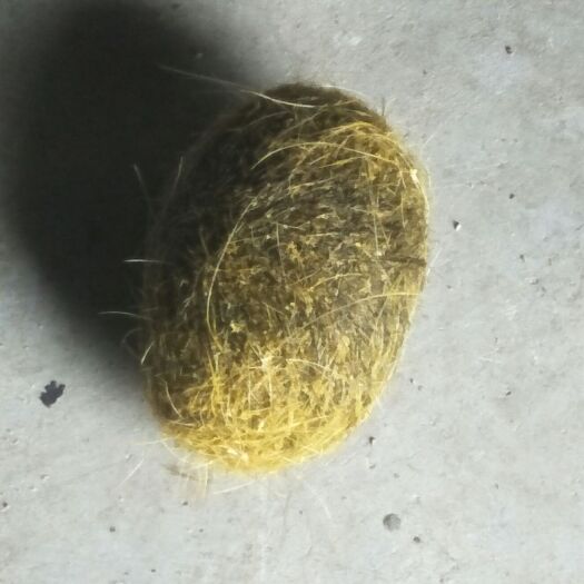 龙岩猪宝 自家的产品，有希要的请联系