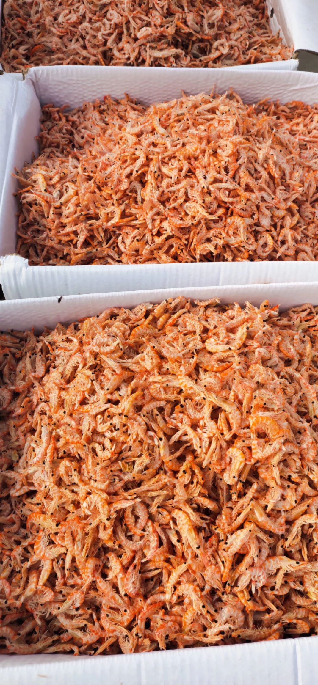 南极磷虾皮淡干无盐补钙淡干红磷虾皮