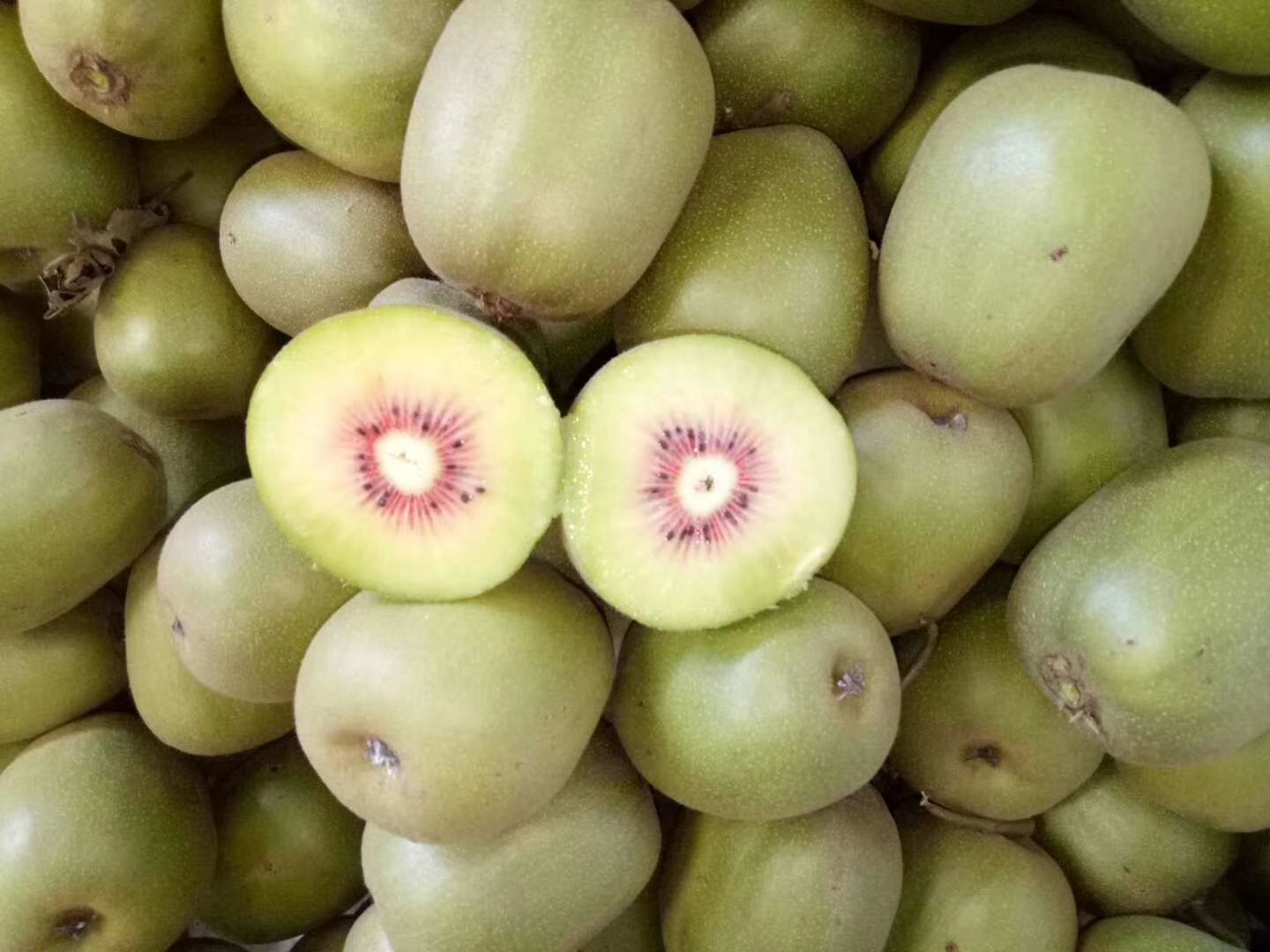 山区红心猕猴桃