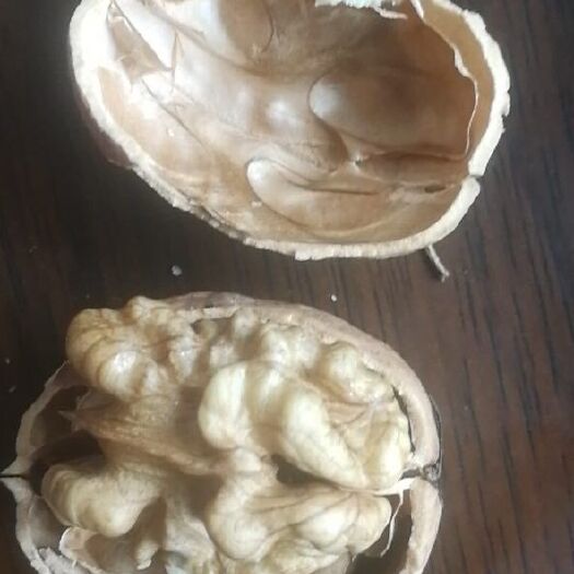 礼县 香玲核桃，供应量200-300吨