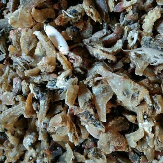 海兴县饲料鱼干熟鱼干鱼块蛋白高饲料蛋鸭猪鸡螃蟹龙虾甲鱼养殖饲料包邮
