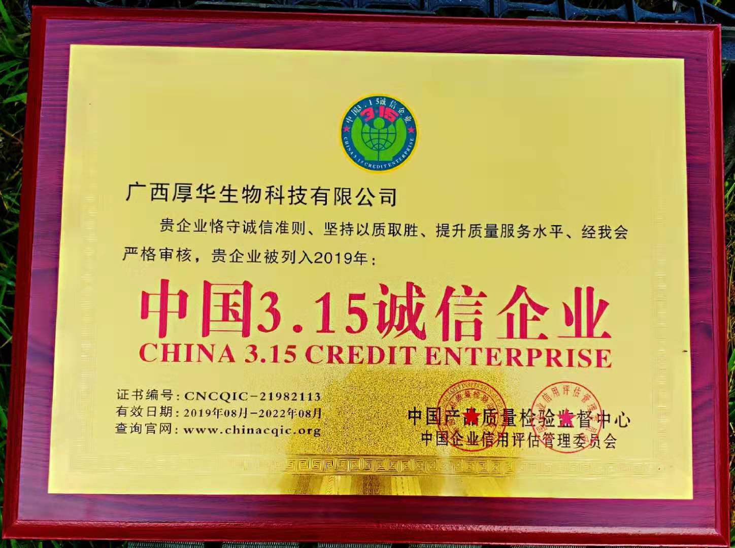 粉红黑老虎苗  真正专业选育品种—厚华1号布福娜苗   好品种才能助您成功！