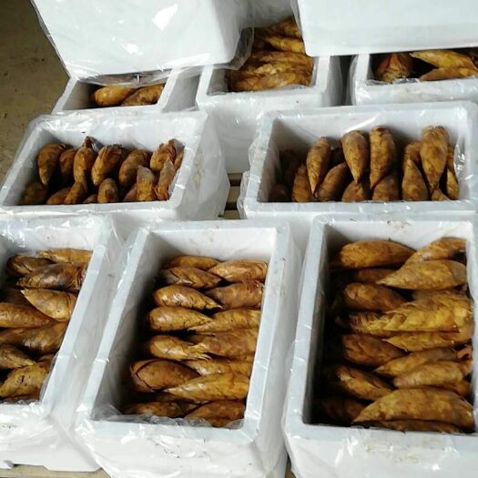 德清县 每天大量供应十吨以上黄黑泥土冬笋，规格分类，安排送货，快运