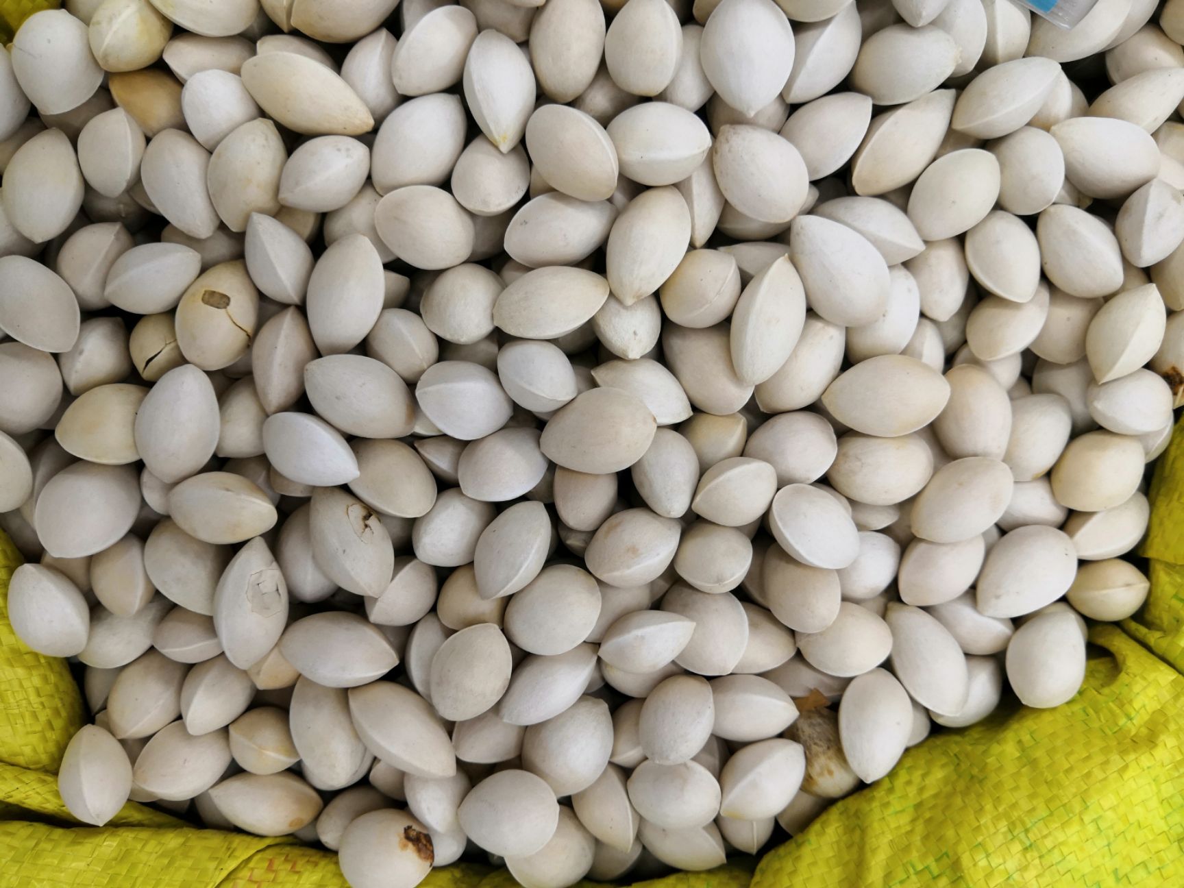 白果仁 银杏干果 去壳 新货 中药材批发