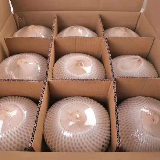 文昌市椰青 海南青椰  天然饮料