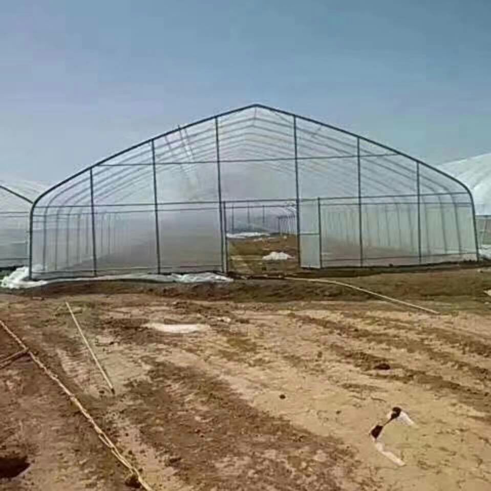 大棚杆 优选大棚拱杆 镀锌圆管 椭圆管