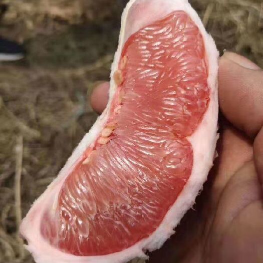 宾阳县 正宗沙田柚，透心红上市了，口味蜜甜，个头饱满