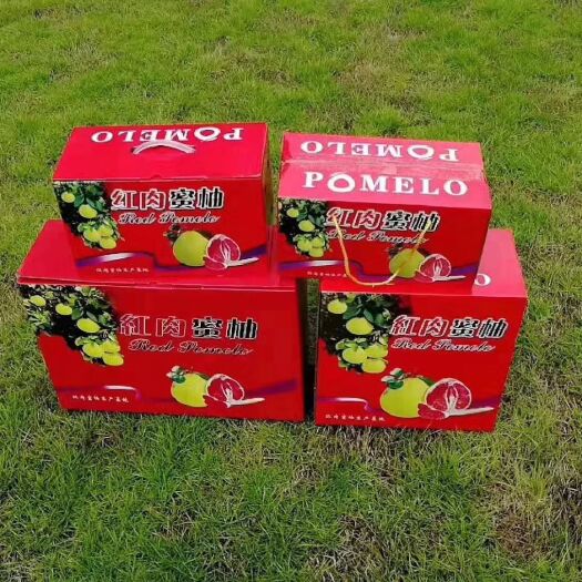 梅州 梅州金柚，农家直销