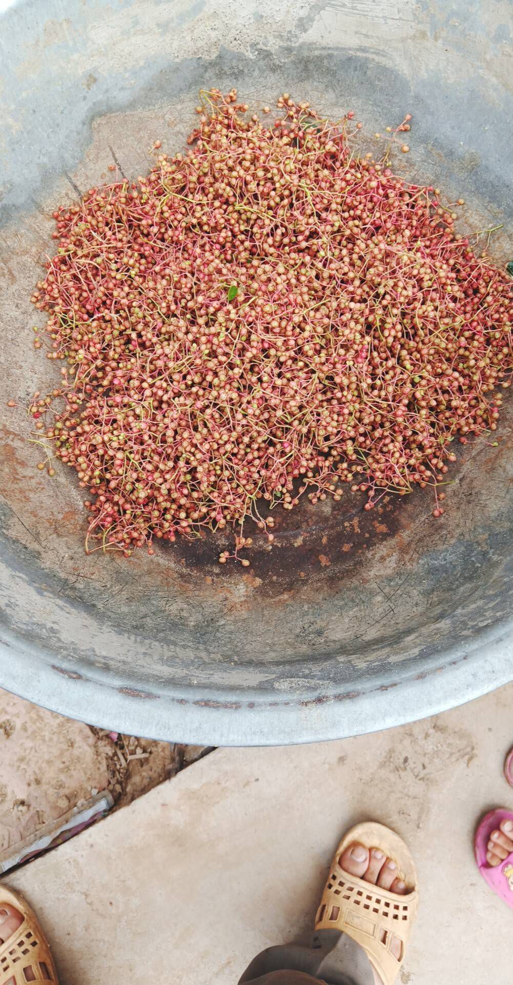 红花椒 二级 干花椒