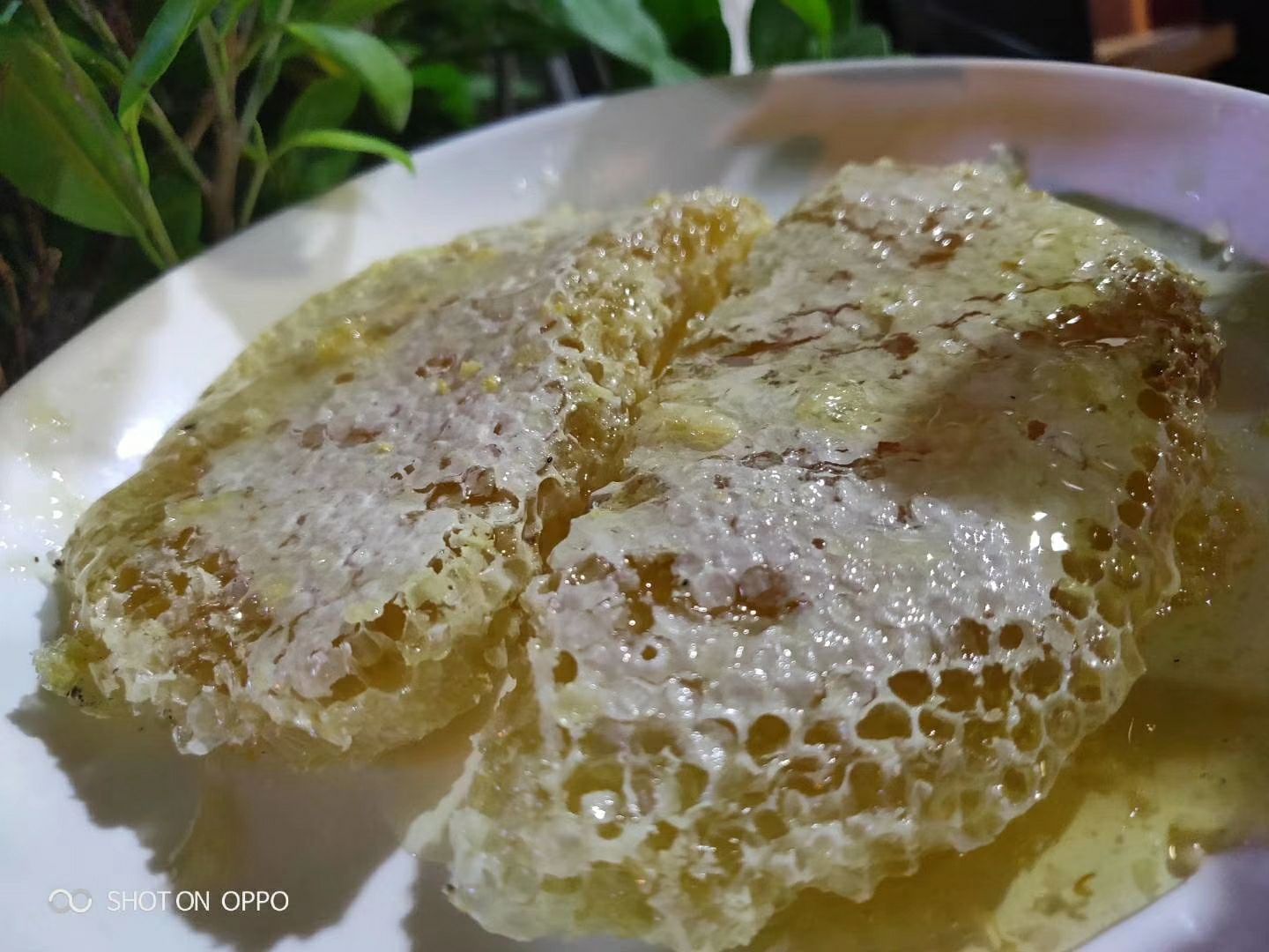 野蜂蜜，