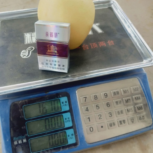 方城县黄金梨  包口感