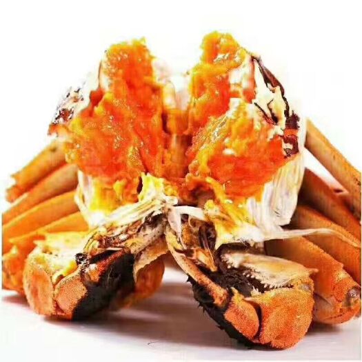 晋江市高淳大闸蟹  物美价廉