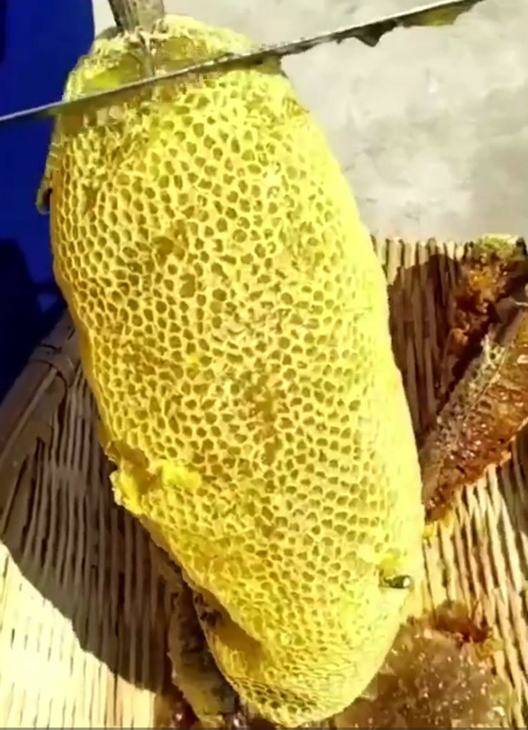  野蜂蜜，
