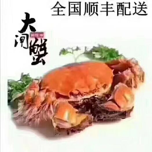 兴化市 兴化大闸蟹批发原产地直销