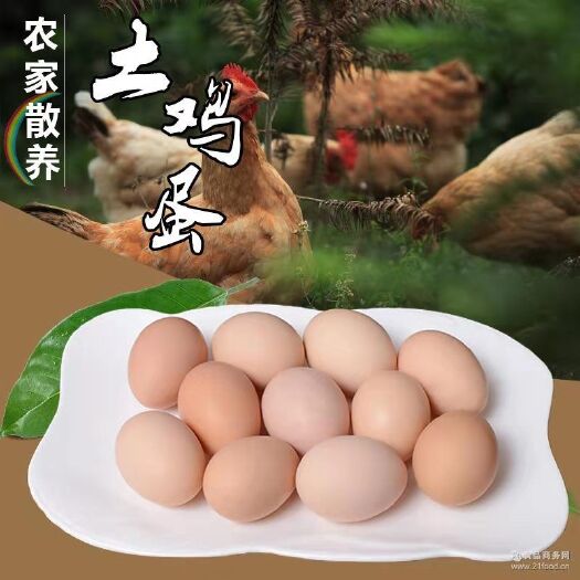 沭阳县 正宗农家散养新鲜土鸡蛋  柴鸡蛋  笨鸡蛋