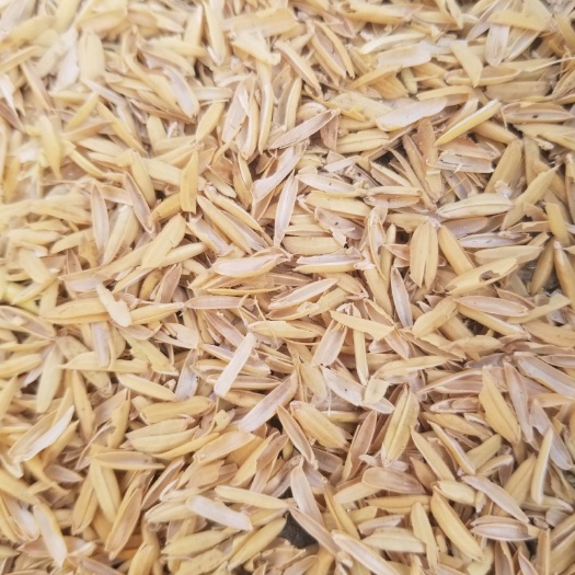 安顺小米壳 喜欢的联系
