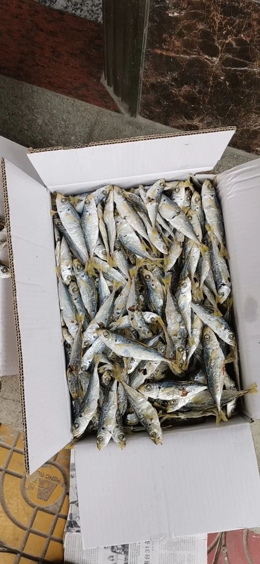 深海海鲜 海鲜特产157，干货冻品591，美食配送10235，支持快递