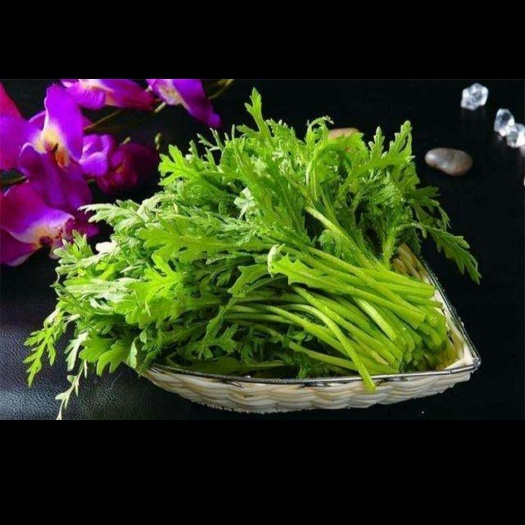 灌云县 小叶茼蒿菜
