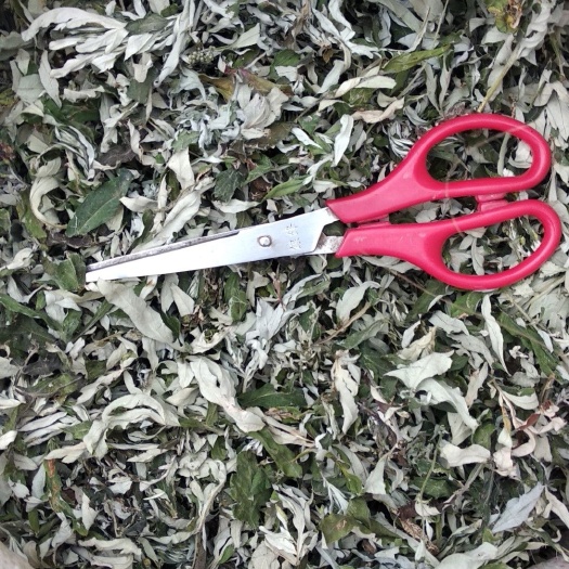 石阡县贵州铜仁非种植无硫中药材小艾叶干货艾蒿干品艾草色青产地直发