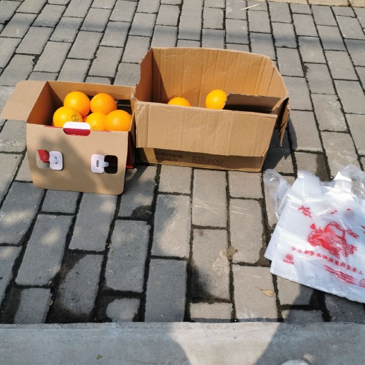 冰糖橙 鲜橙售卖