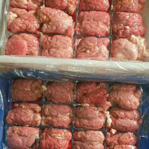 中牟县 羊脑