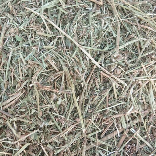 正阳县 青杆绿叶花生秧草粉现货加工中，常年现货确保质量。