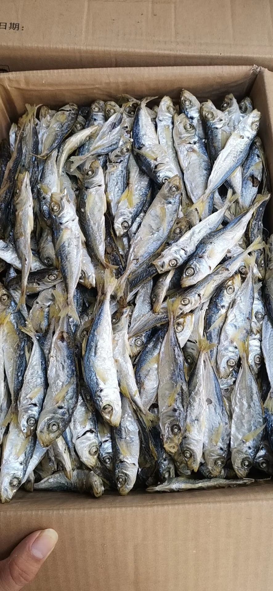 深海海鲜 海鲜特产157，干货冻品591，美食配送10235，支持快递