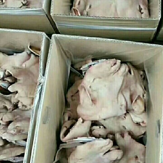 中牟县羊脸皮 全熟白头，