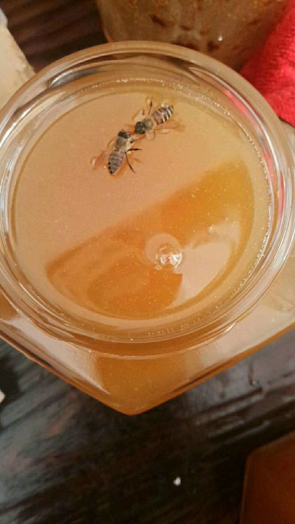  野蜂蜜，